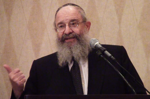 Rabbi Leibel Schapiro